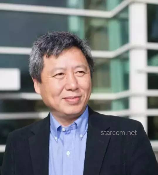 北大教授惊人发现：地球上竟有1426亿棵树！
